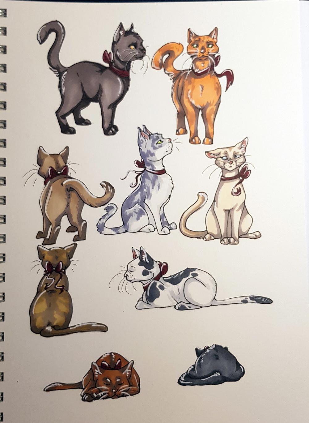 Sketchbook Cats - image 3 - student project