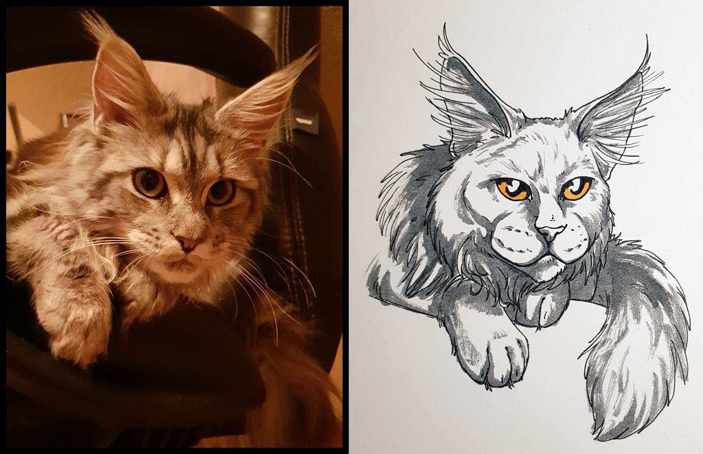 Sketchbook Cats - image 4 - student project