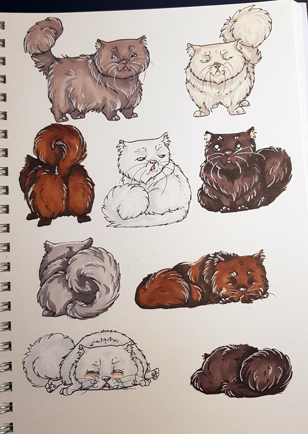 Sketchbook Cats - image 2 - student project