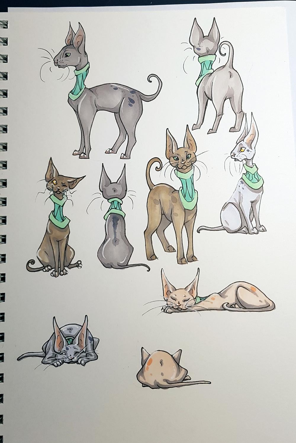 Sketchbook Cats - image 1 - student project