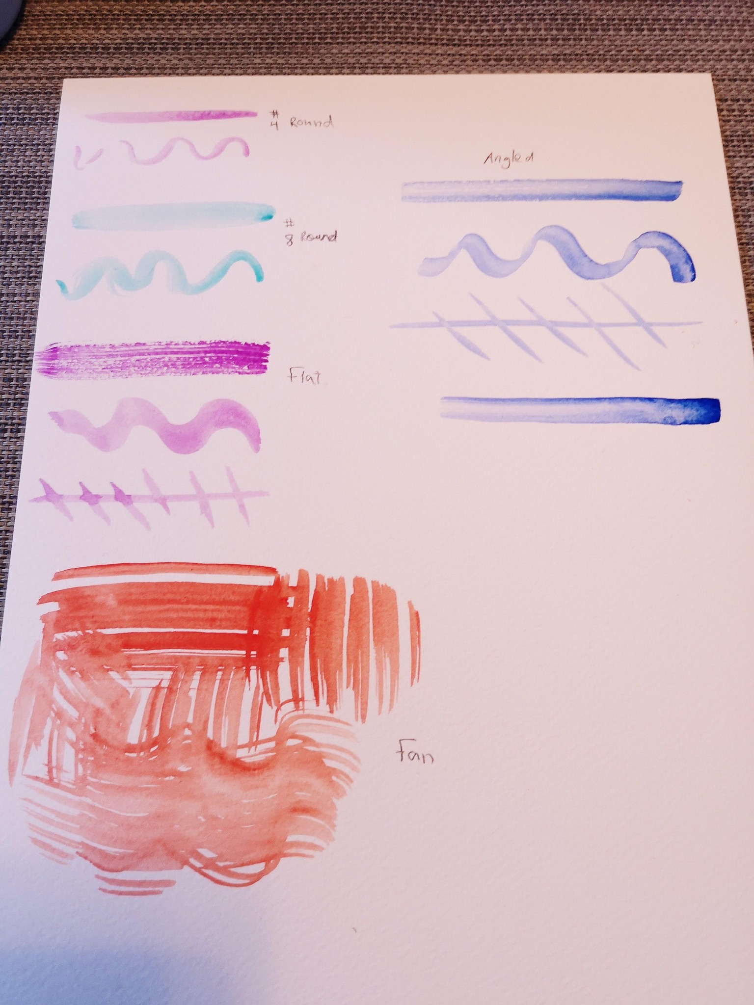 Cactus painting - image 1 - student project
