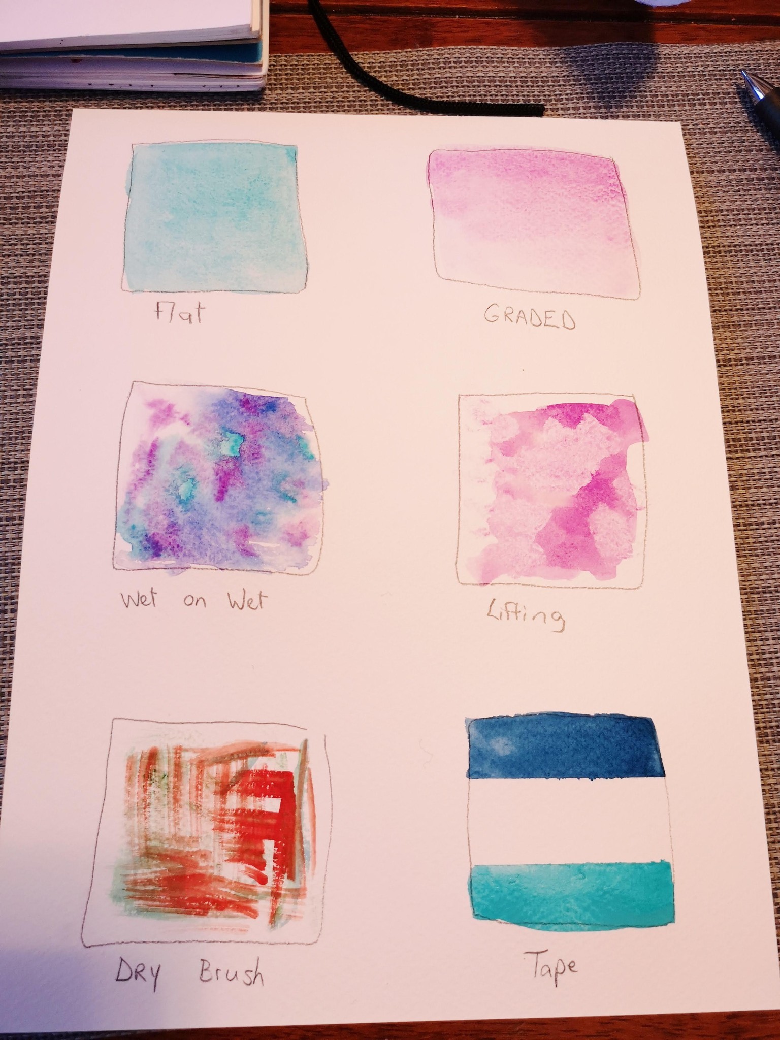 Cactus painting - image 2 - student project
