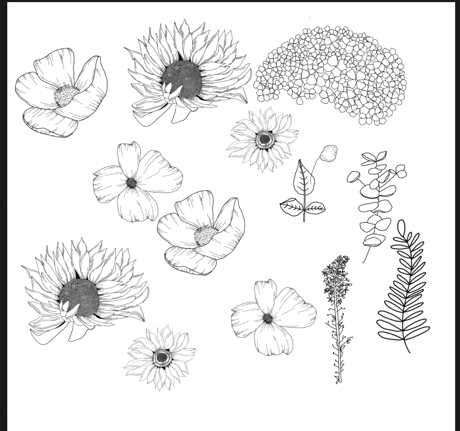 Wildflowers - image 3 - student project