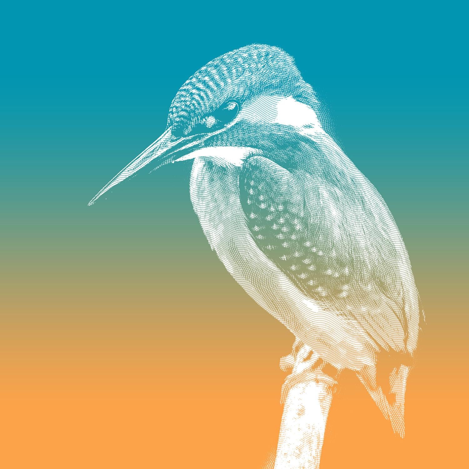 Martin - image 3 - student project