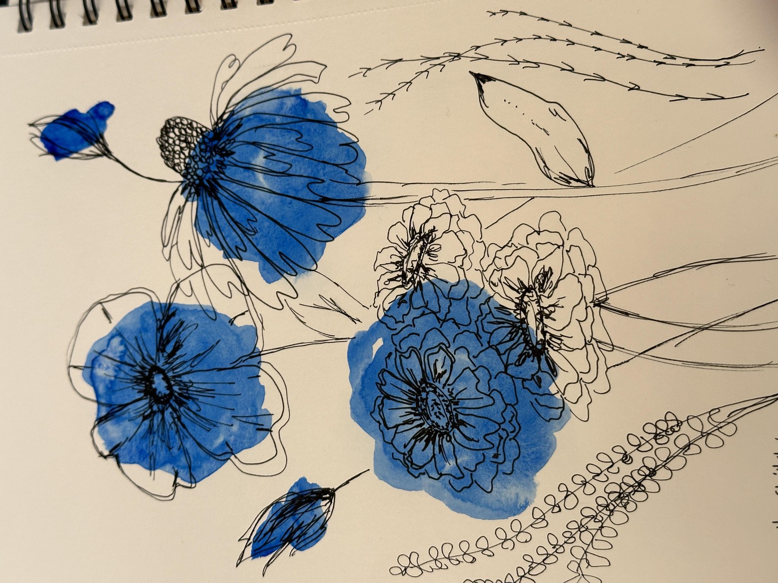 Blooms - image 1 - student project