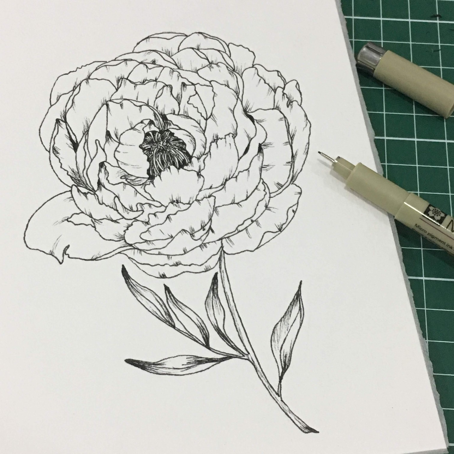 Peony - image 1 - student project