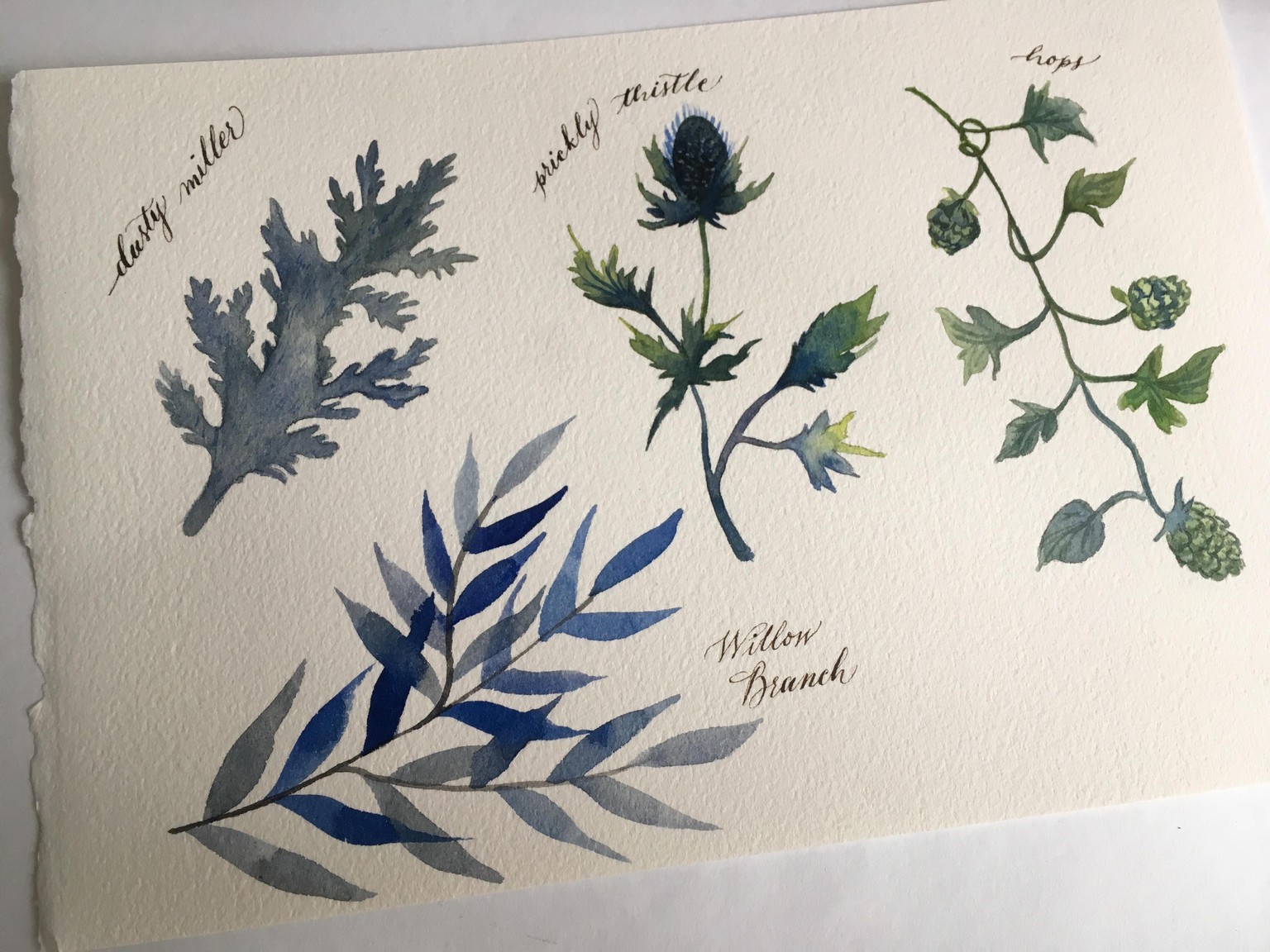 Trendy Greenery - image 1 - student project