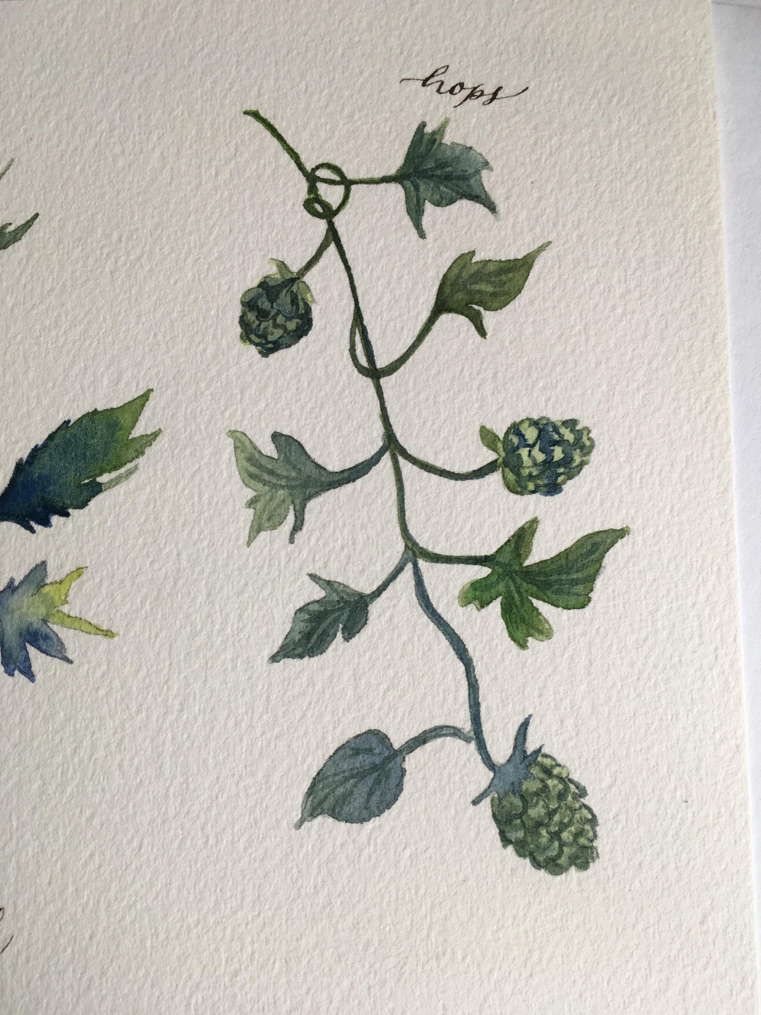 Trendy Greenery - image 4 - student project