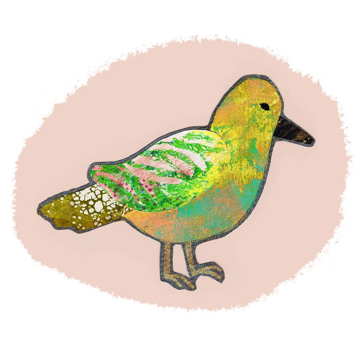 Collage Bird - image 2 - student project