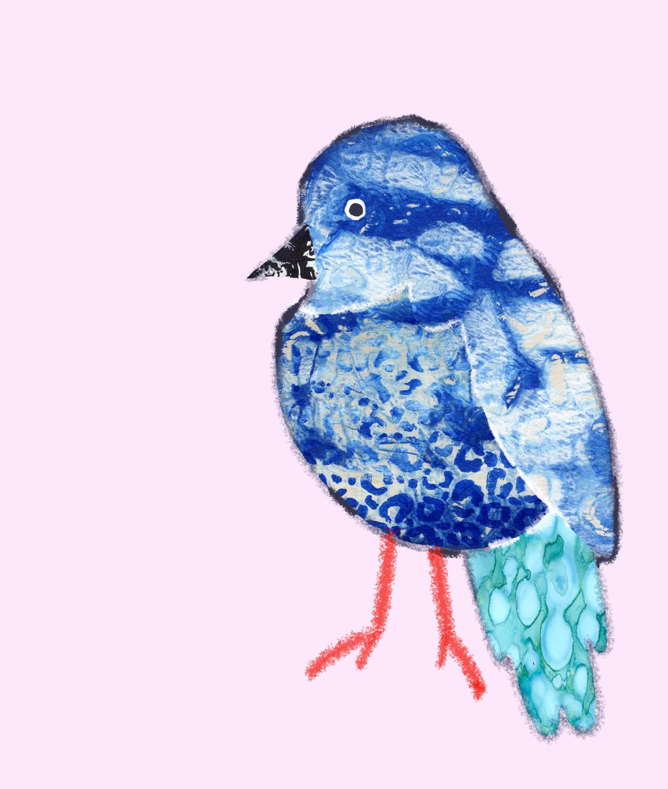 Collage Bird - image 1 - student project