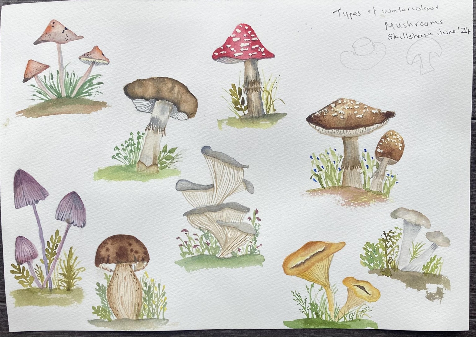9 Watercolour Mushrooms - image 1 - student project