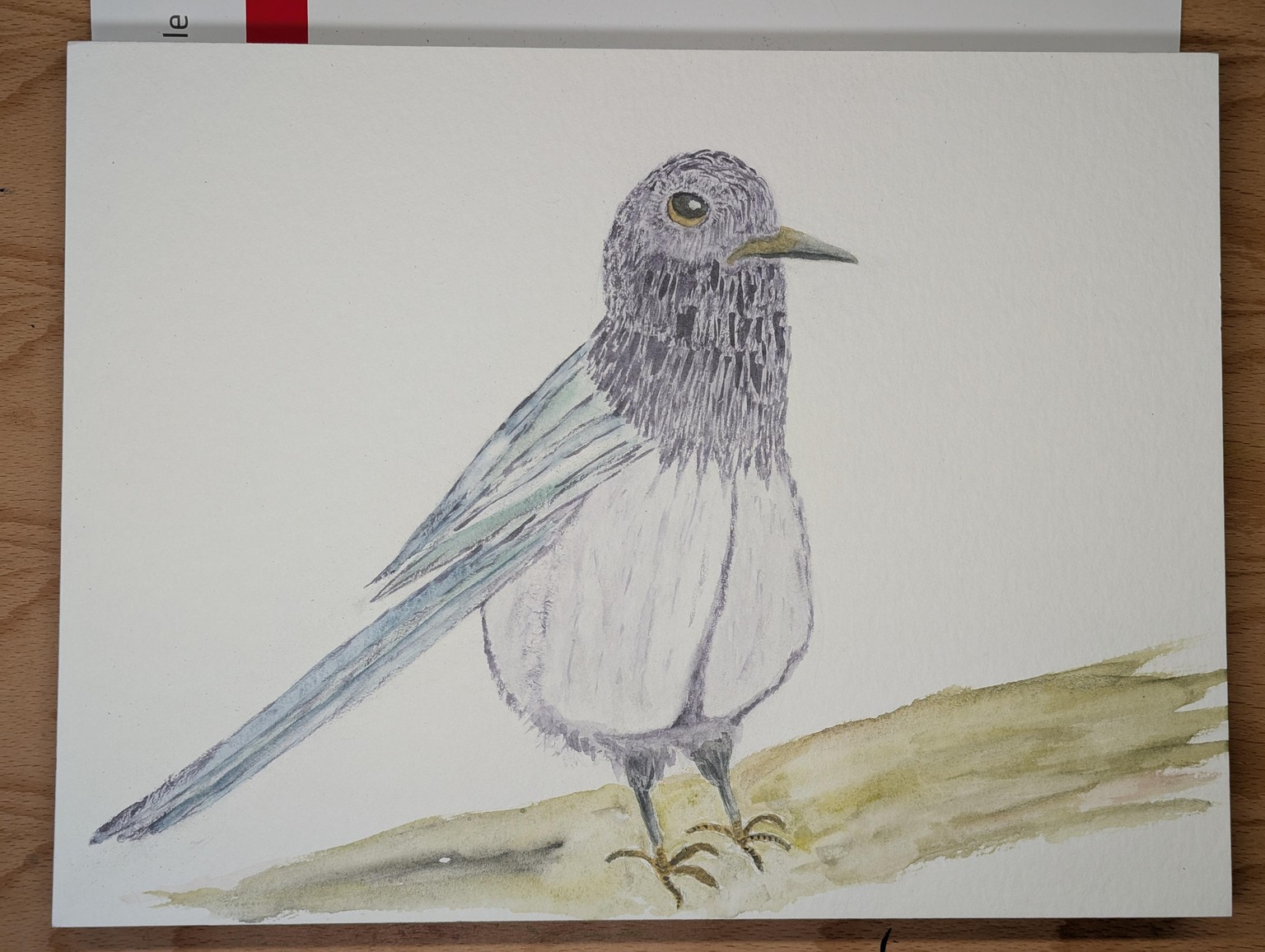 Magpie - image 1 - student project