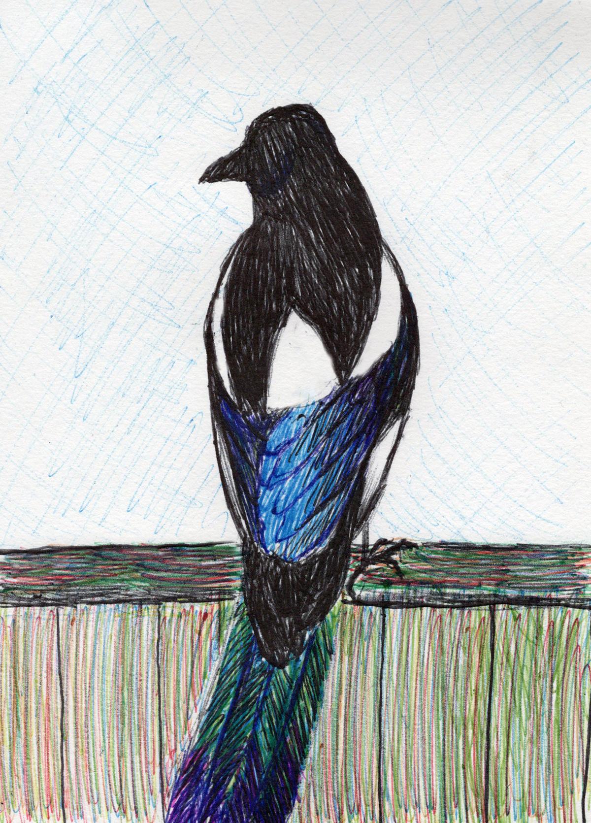 Linda's Ballpoint Pen Creations - image 3 - student project