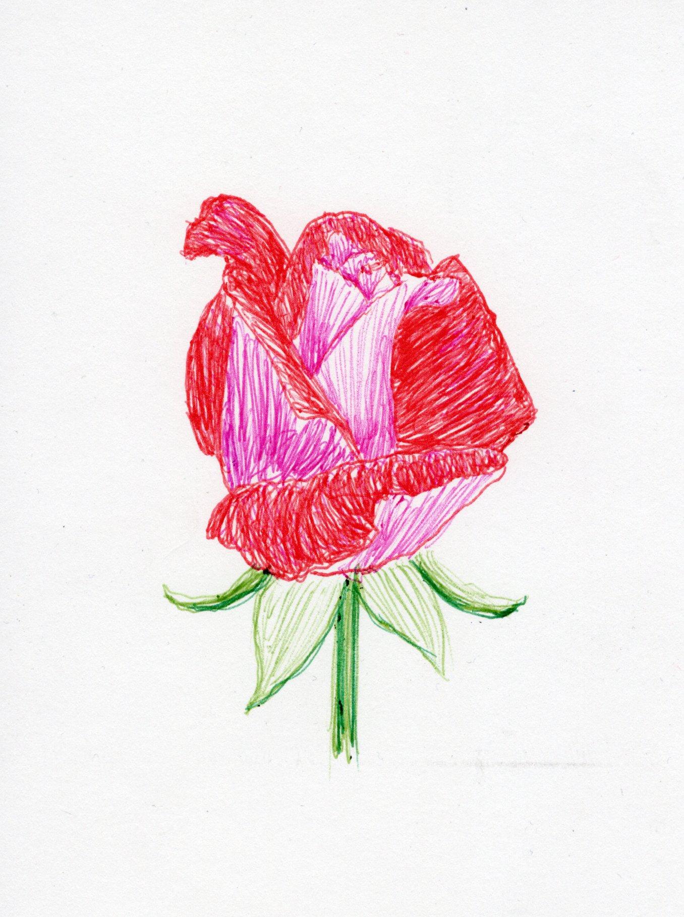 Linda's Ballpoint Pen Creations - image 2 - student project