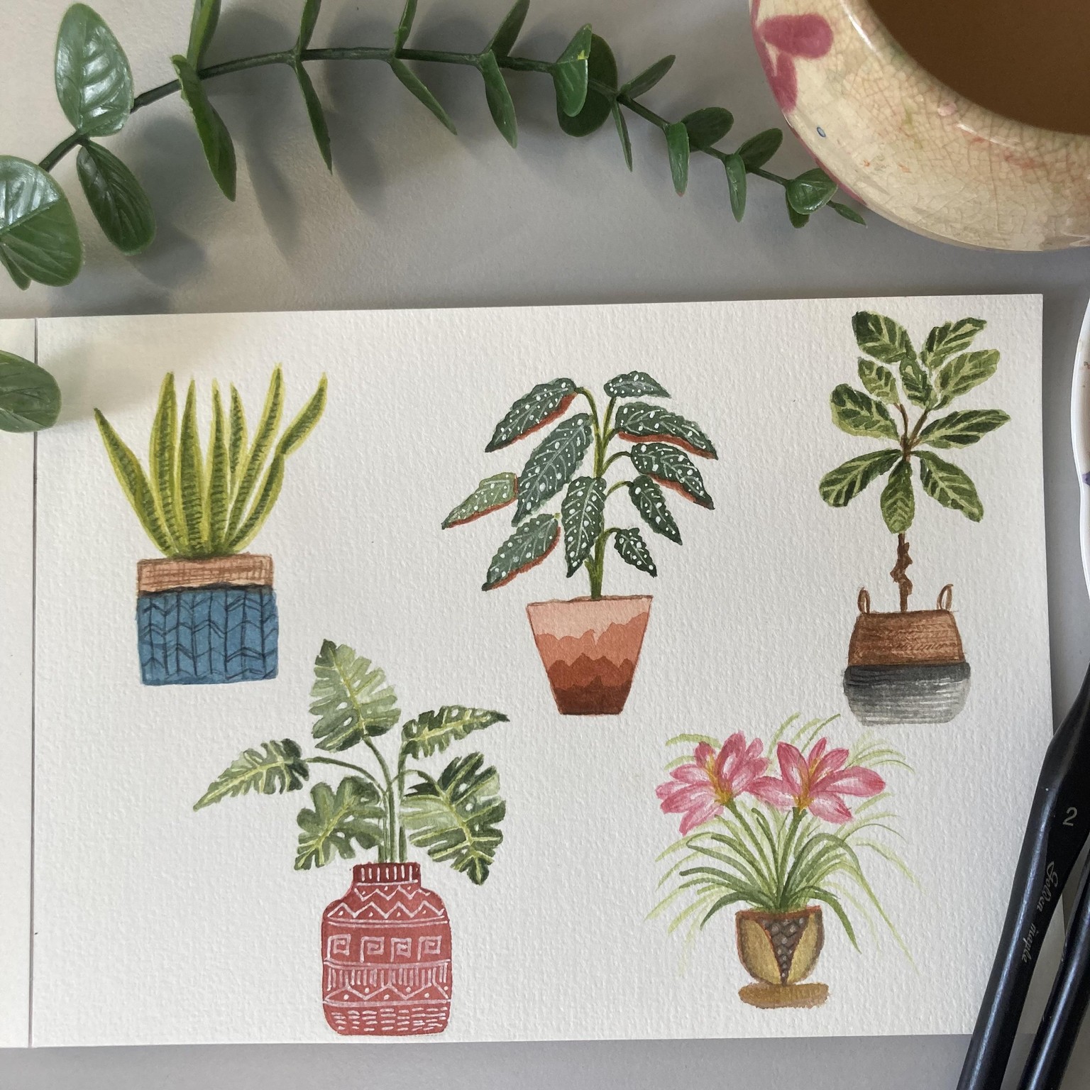 Watercolor potted plants - image 2 - student project