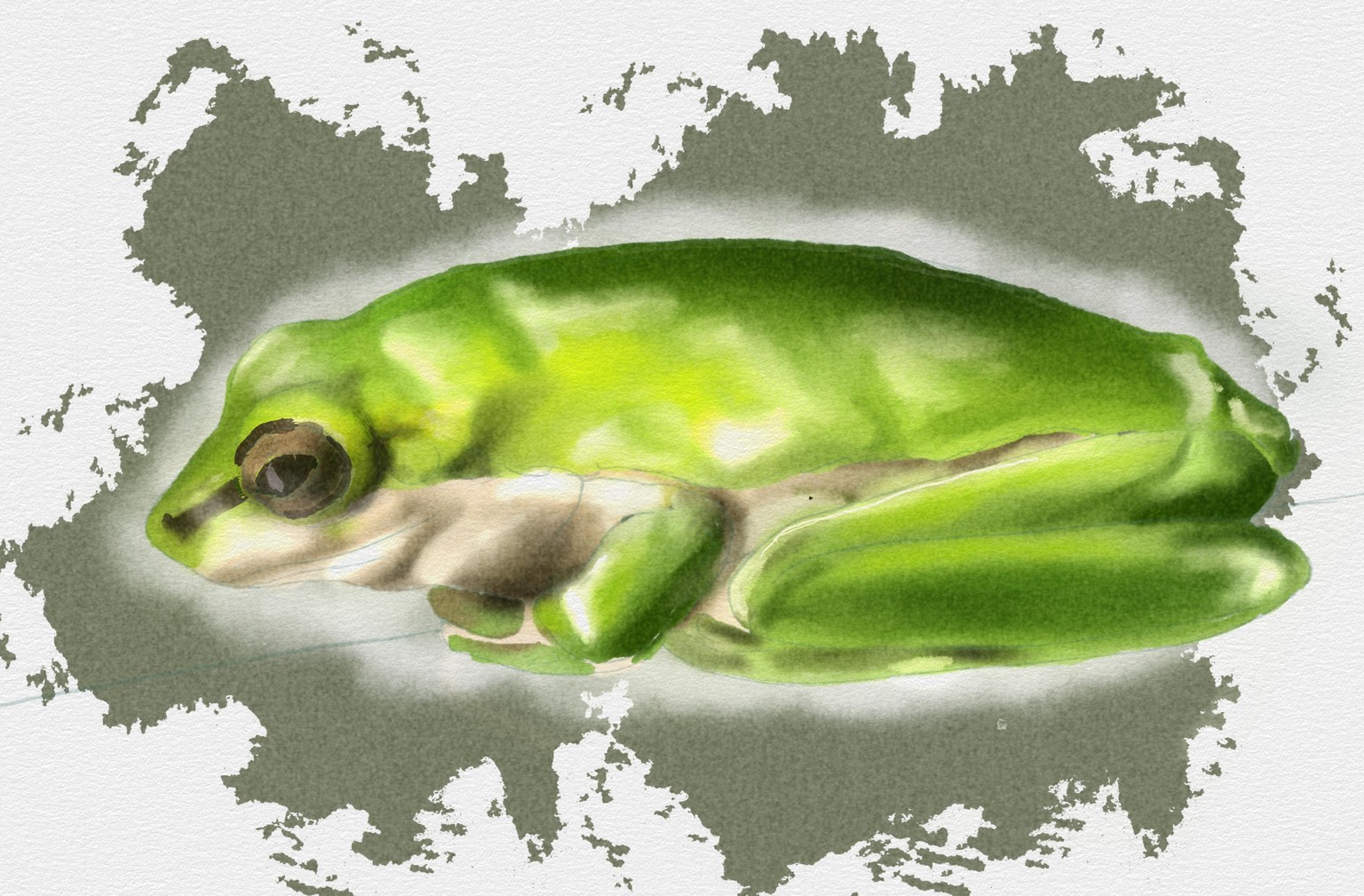 The Procreate Watercolor Masterclass - image 1 - student project