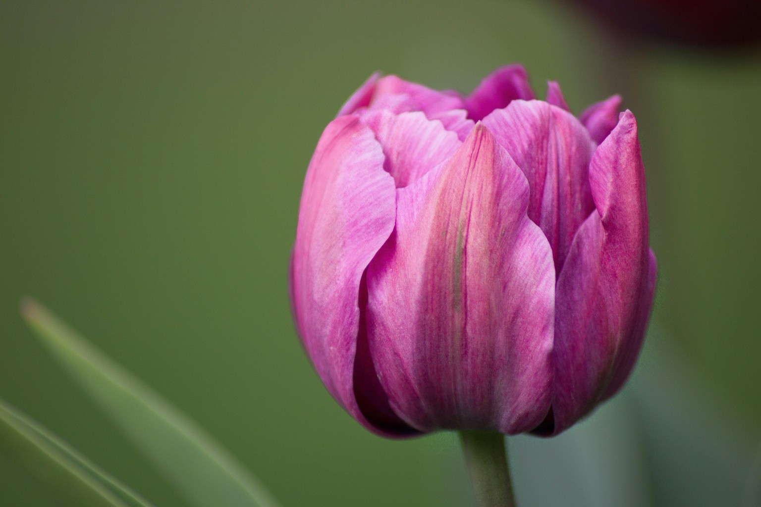 MASTER BLEND MODES IN AFFINITY PHOTO - image 3 - student project