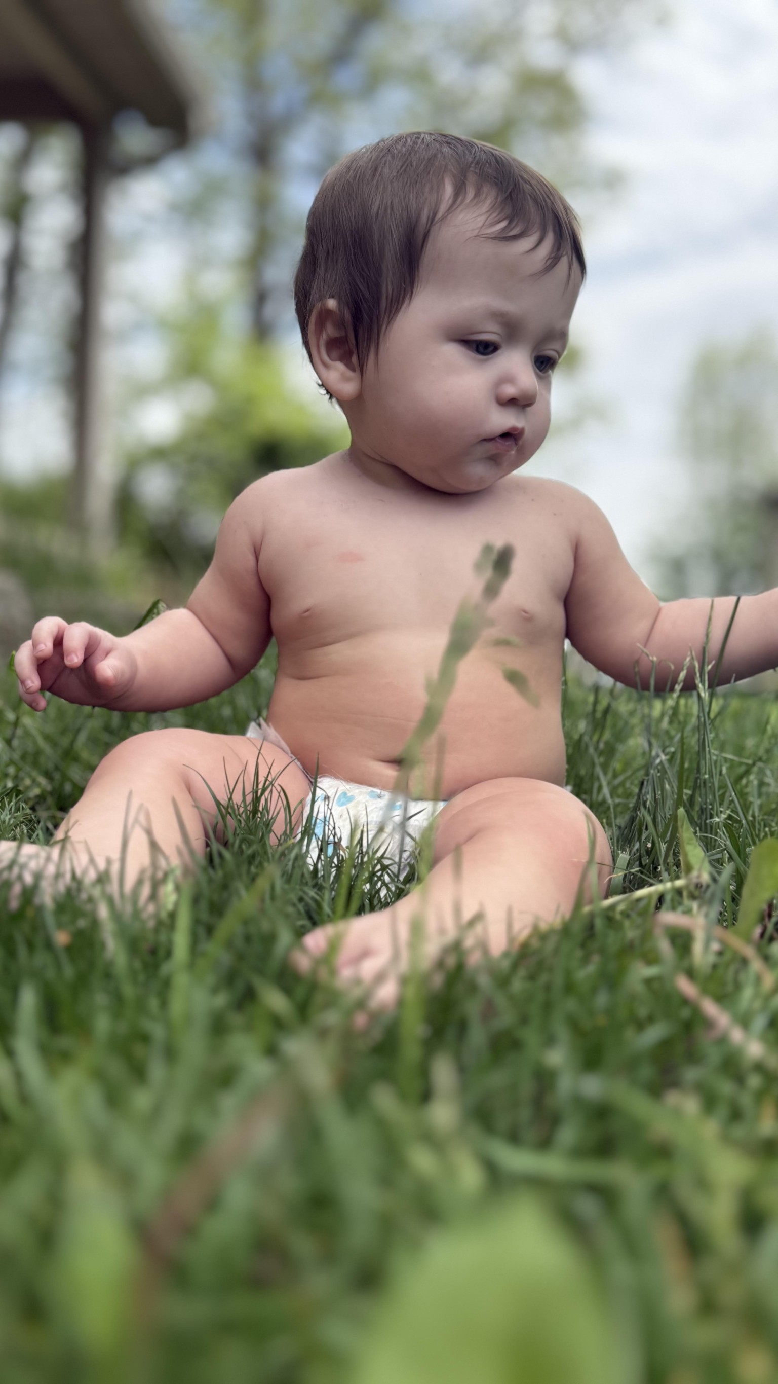 My grandson - image 2 - student project