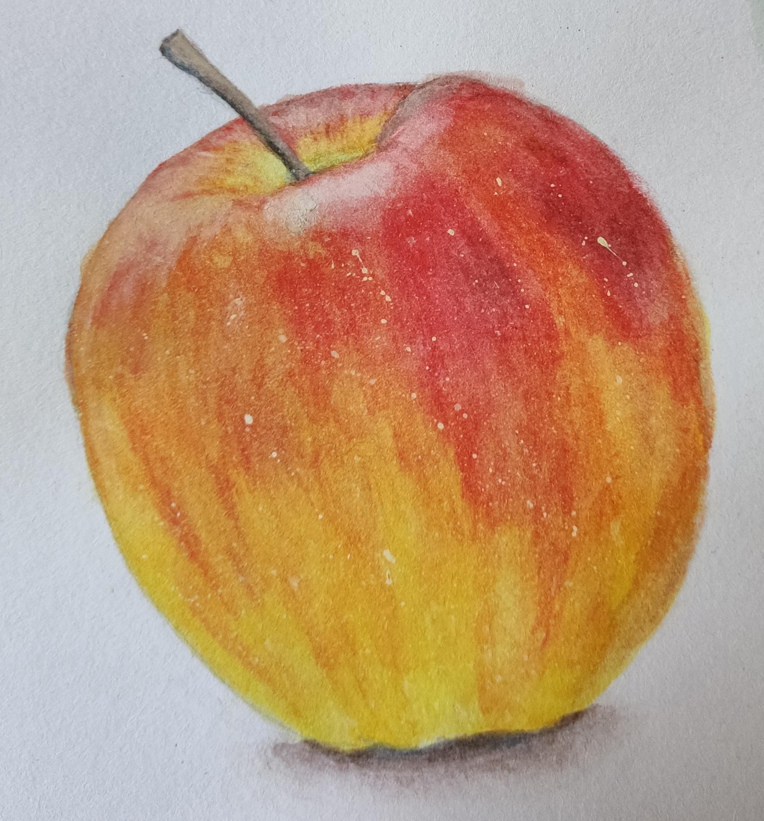 Shire Apple - image 2 - student project
