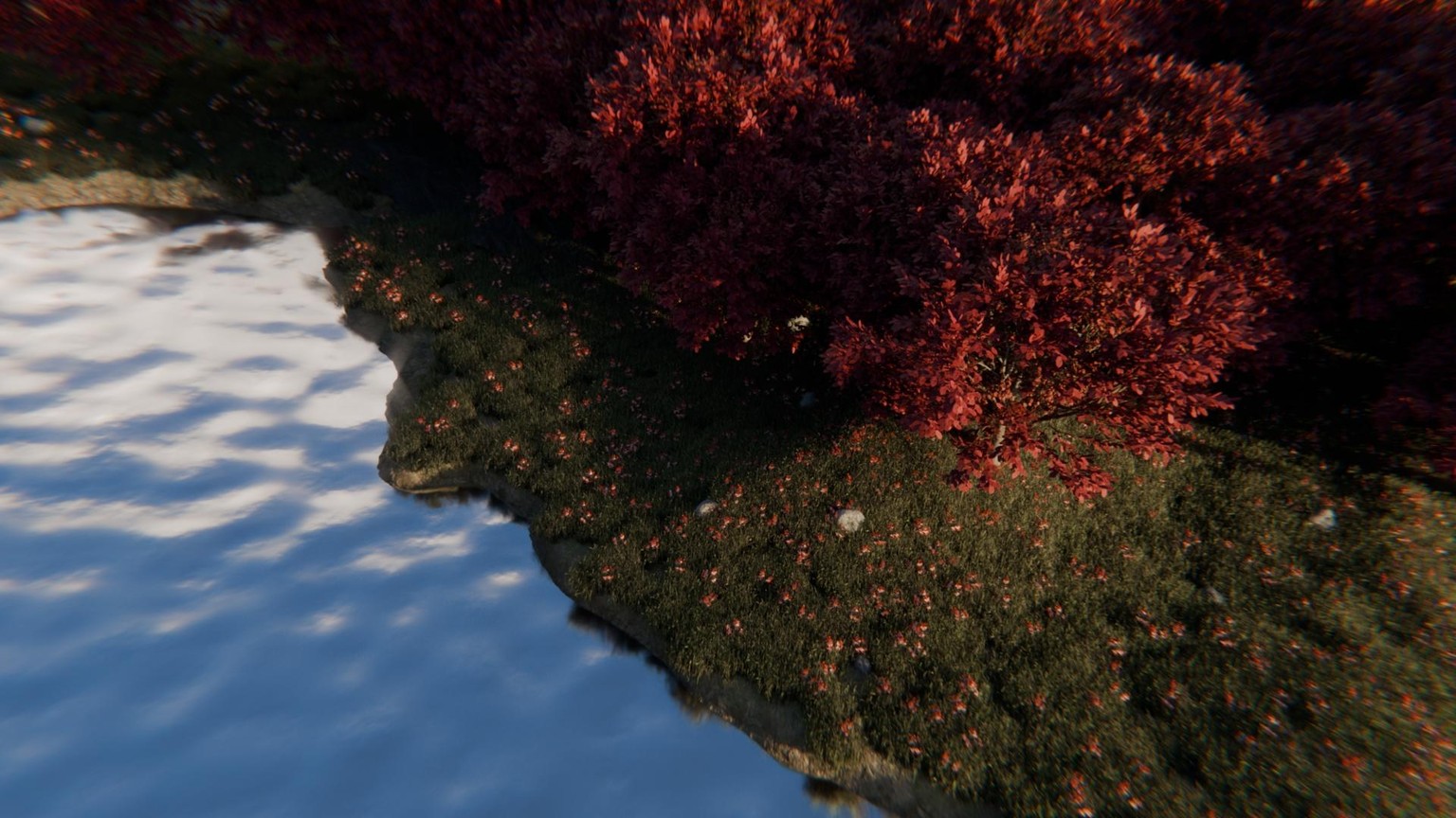 Embers of the Forest - image 1 - student project