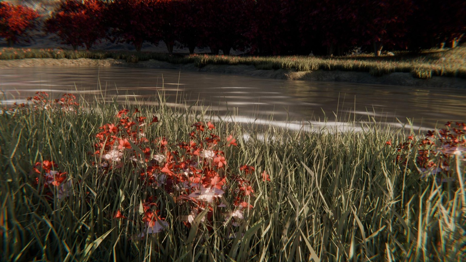 Embers of the Forest - image 2 - student project