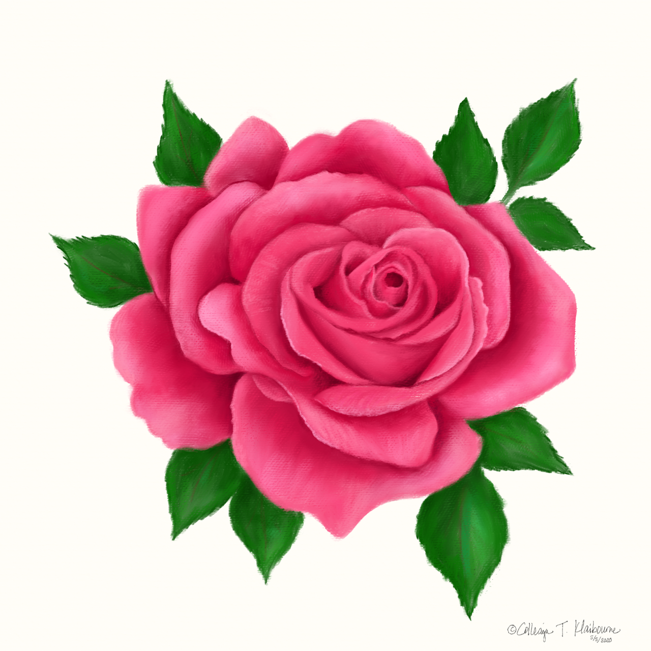 Rose - image 1 - student project