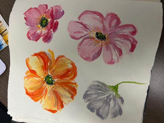 Icelandic Poppies - image 1 - student project