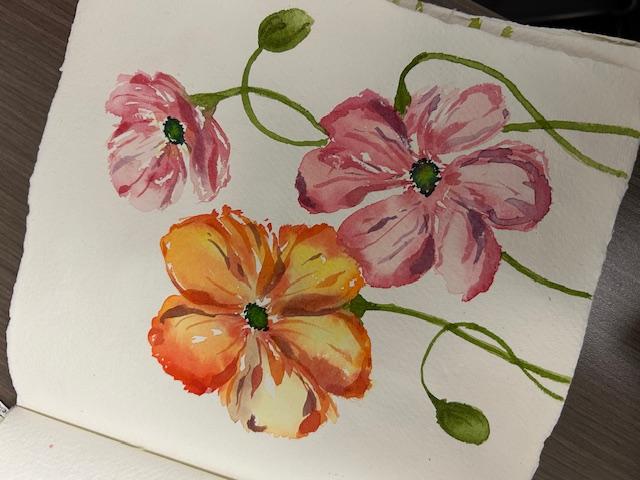 Icelandic Poppies - image 2 - student project
