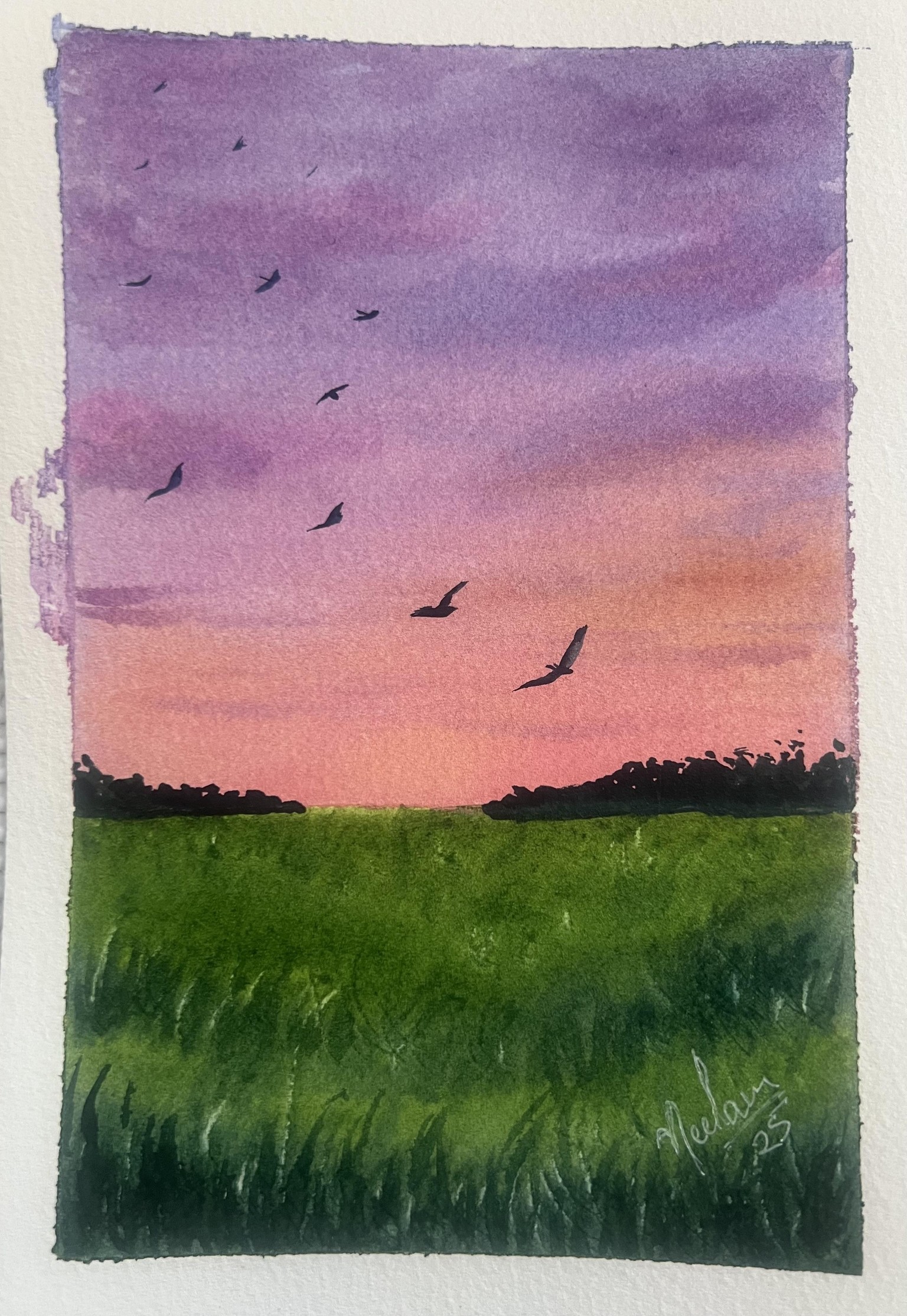 15 Min - watercolor - image 2 - student project