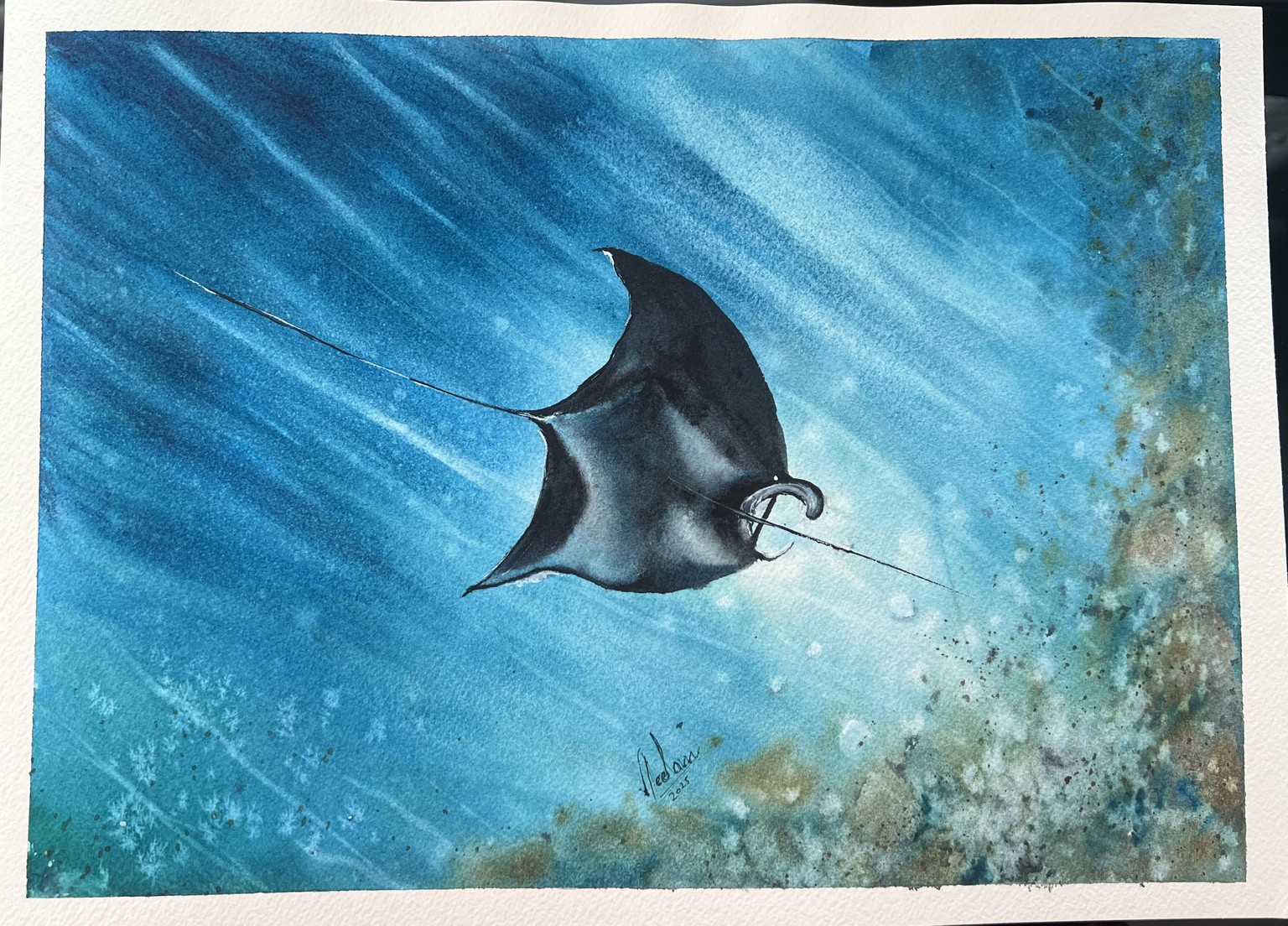 Beautiful Ocean Creatures - image 4 - student project