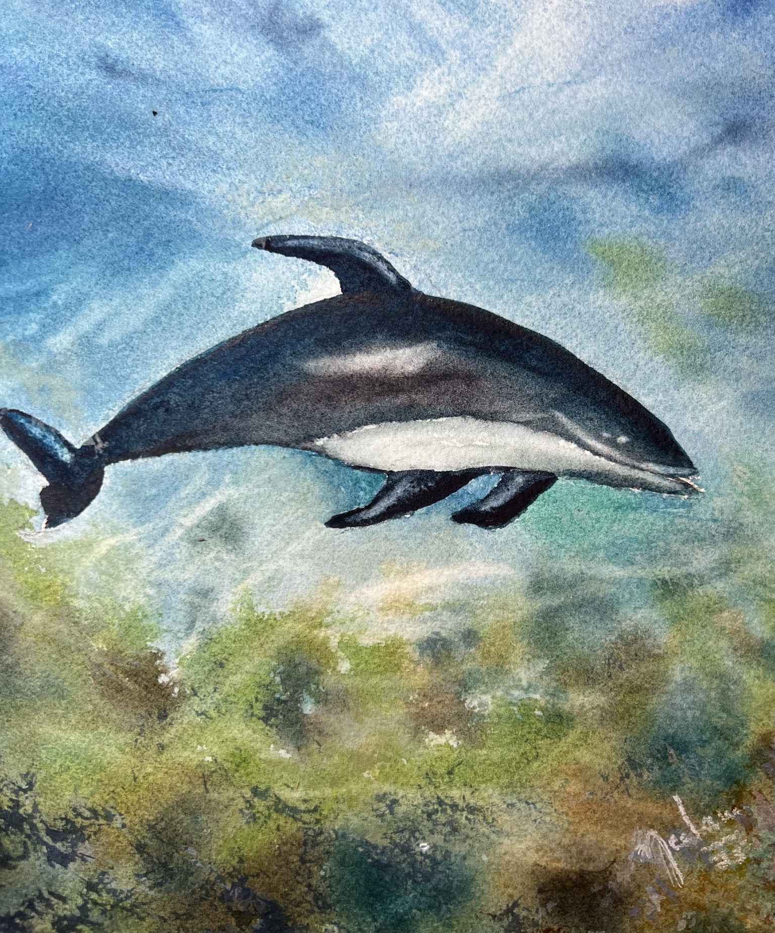 Beautiful Ocean Creatures - image 2 - student project