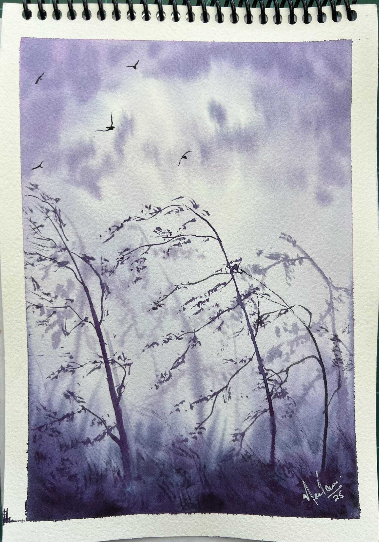 7 Day Mystery Challenge. . - image 2 - student project