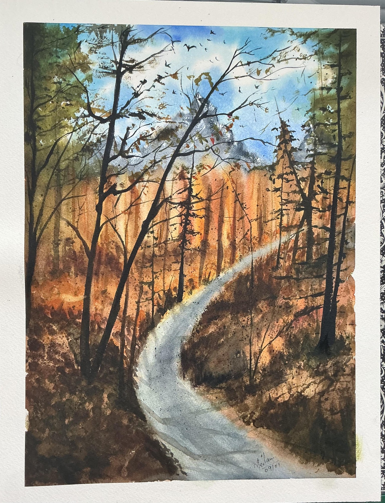Into the woods - image 1 - student project