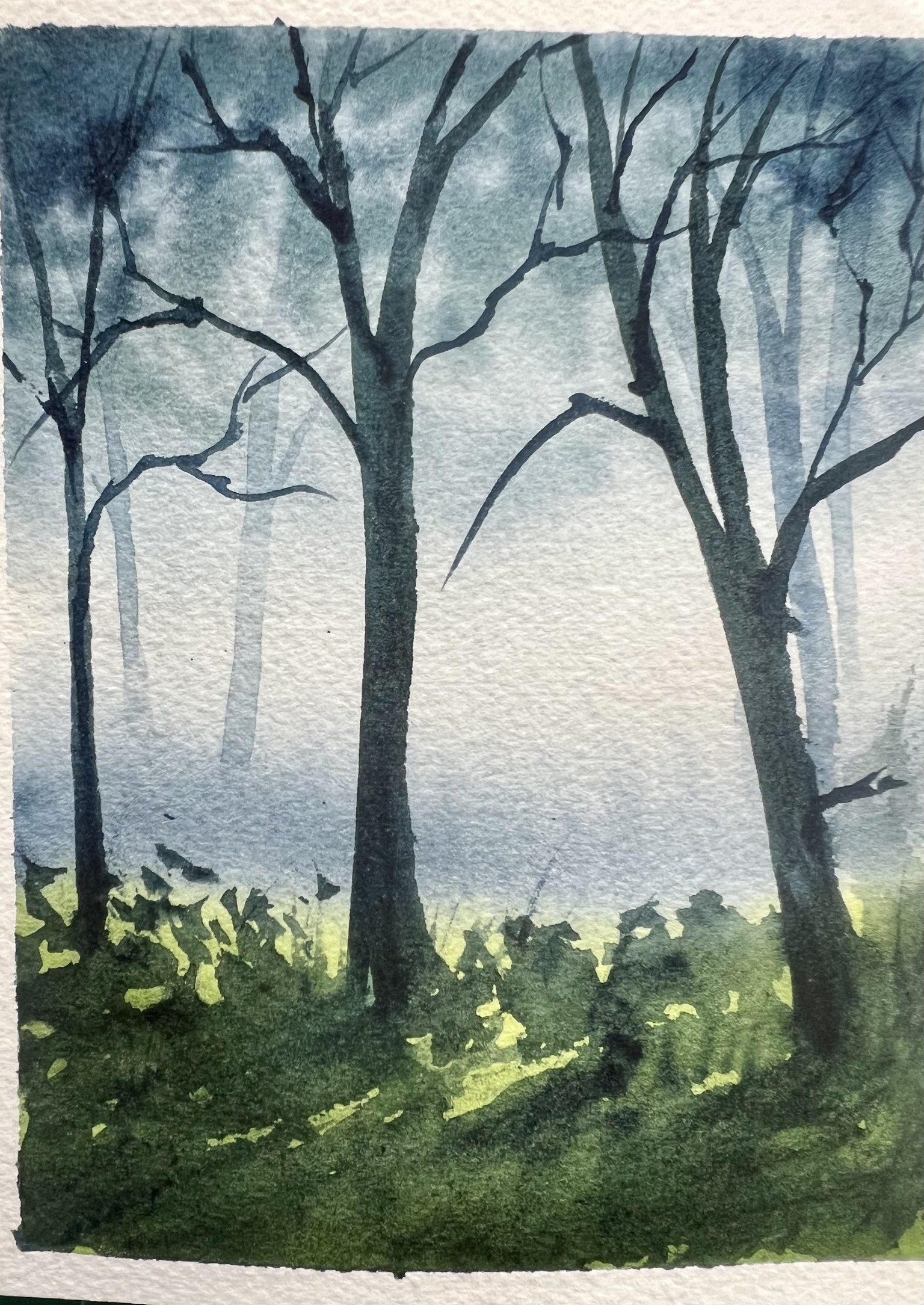 7-Day landscapes - image 3 - student project