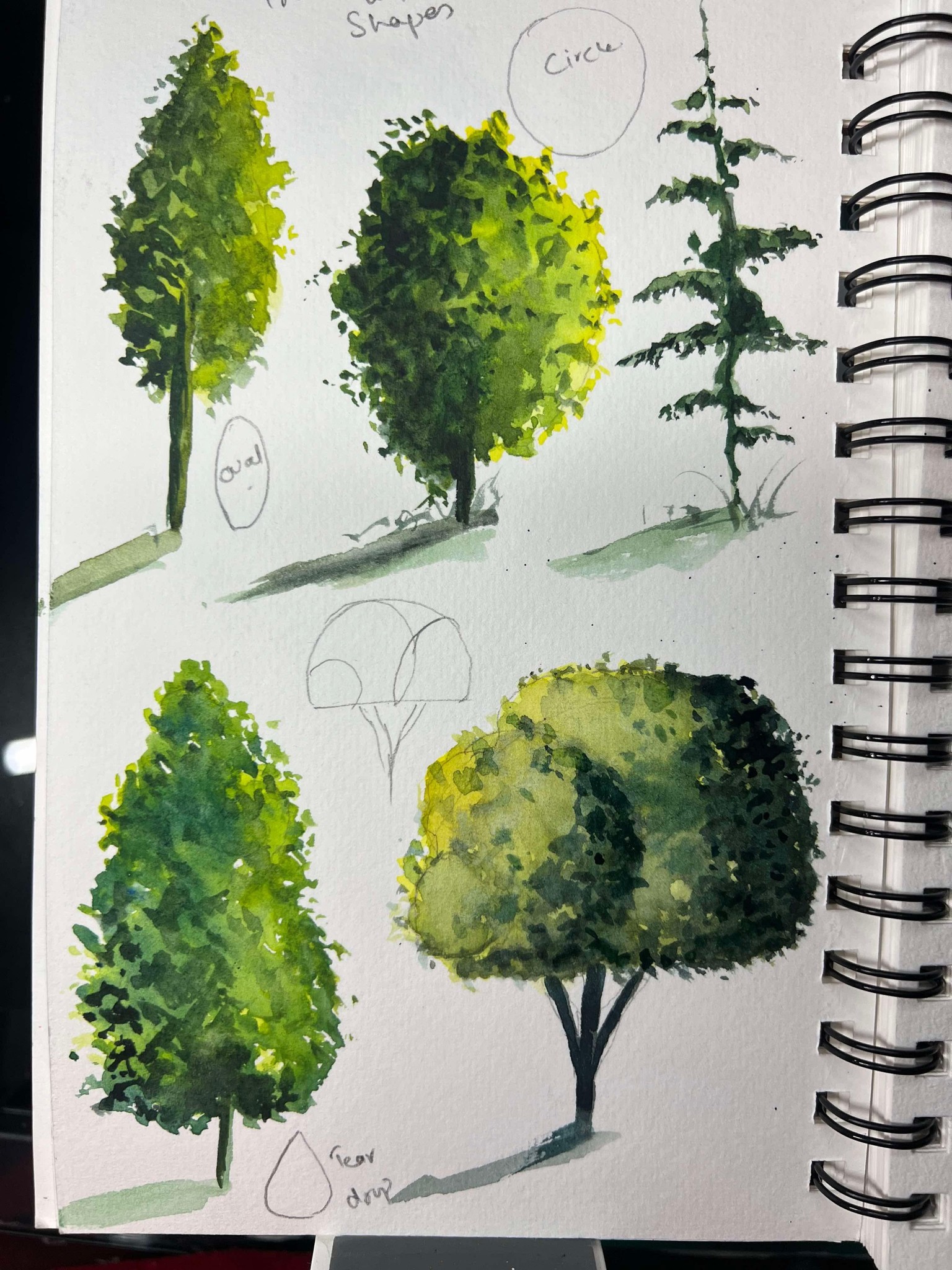 Trees - image 2 - student project