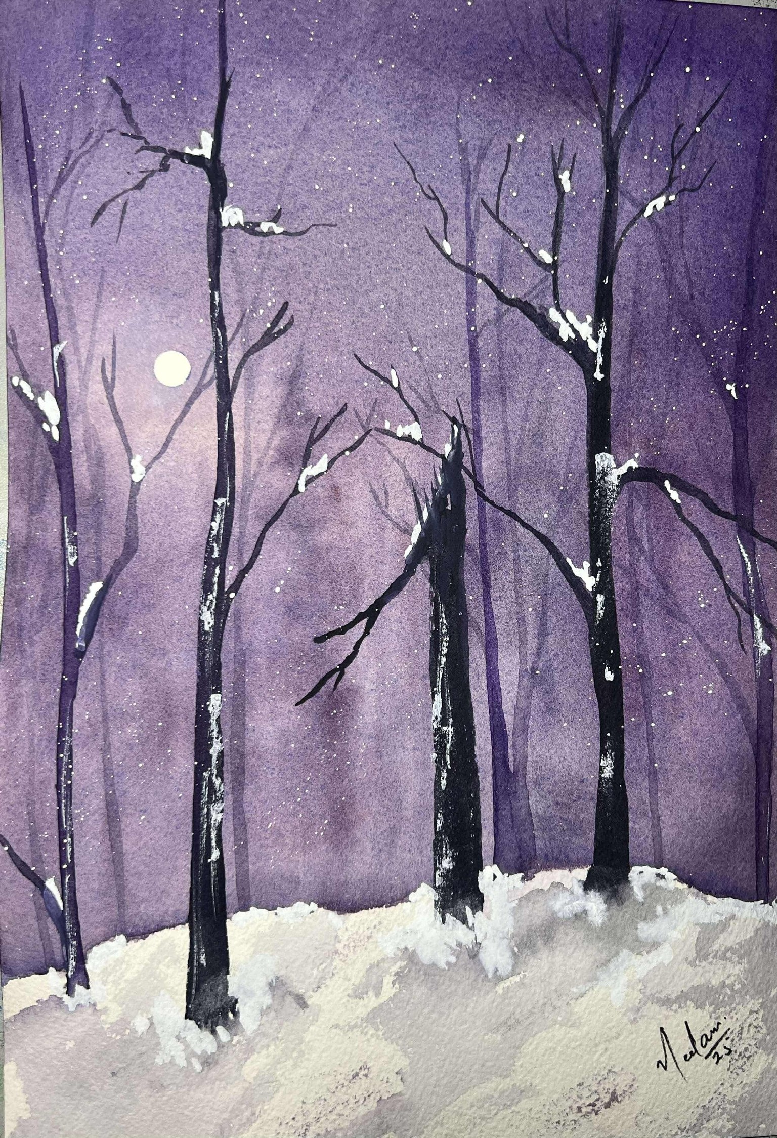 Misty forest - image 1 - student project