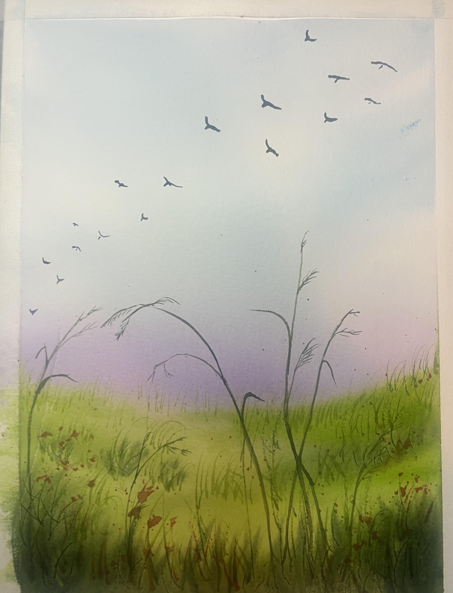 7-Day landscapes - image 5 - student project
