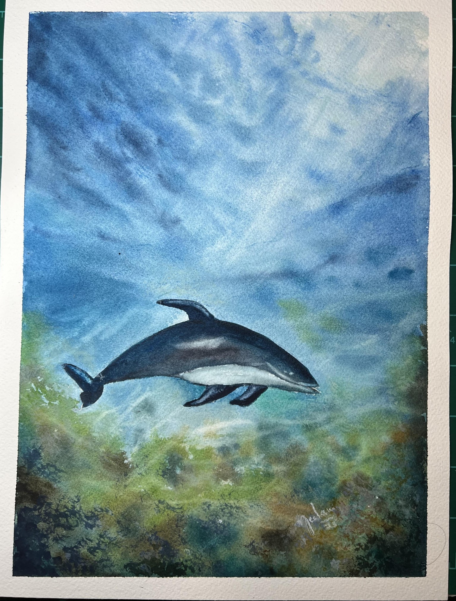 Beautiful Ocean Creatures - image 1 - student project
