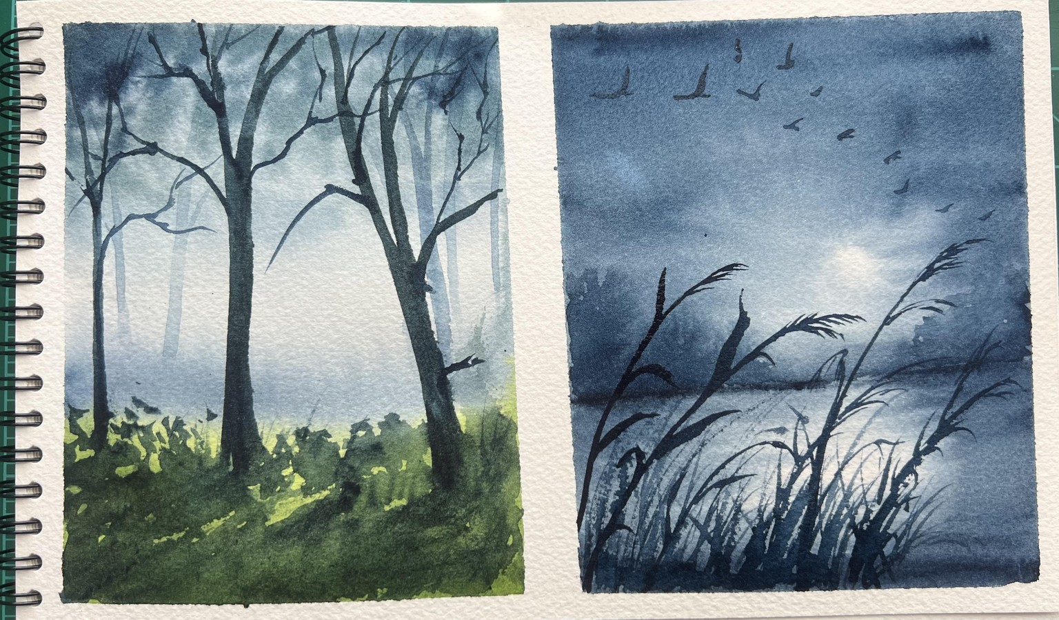 7-Day landscapes - image 4 - student project