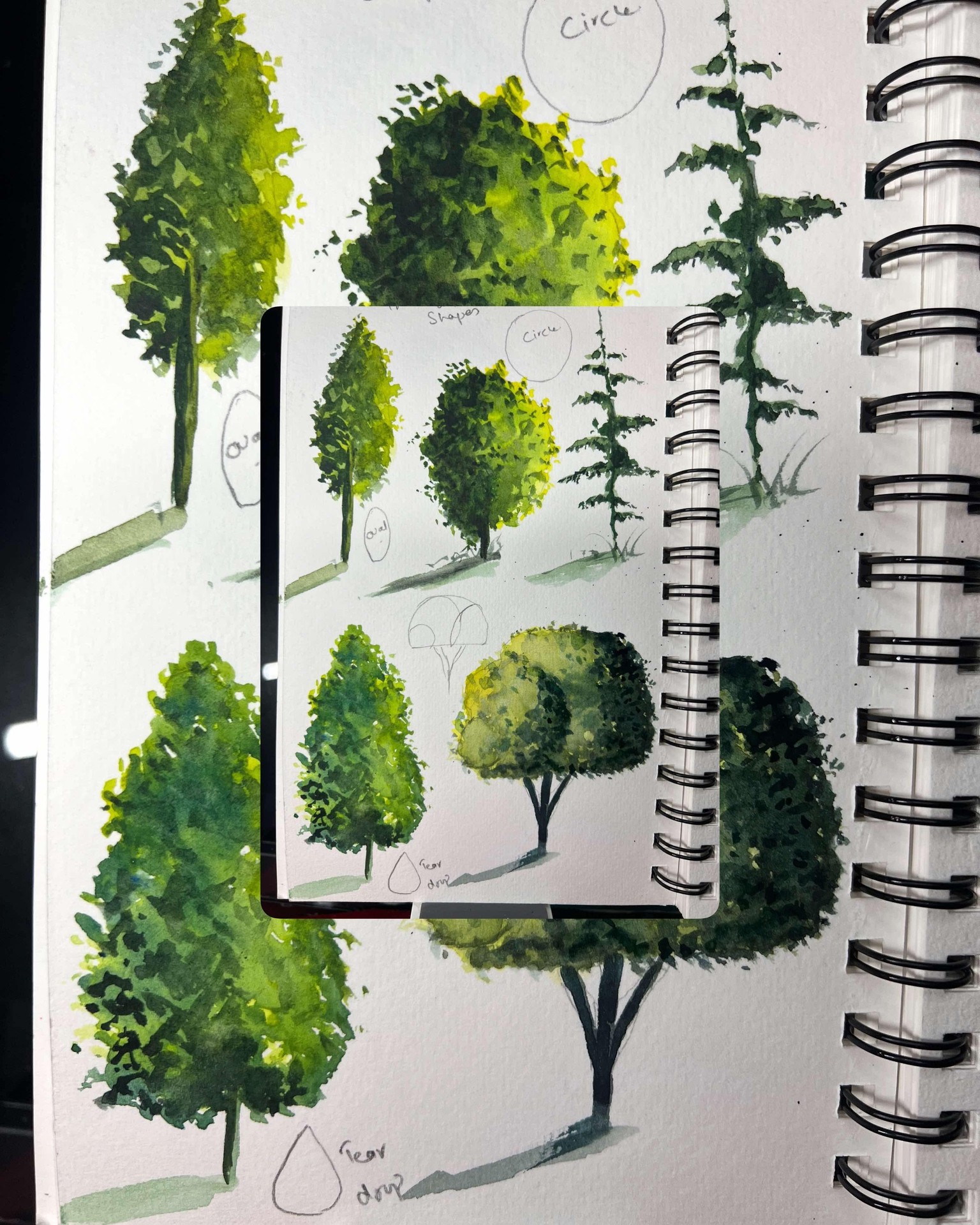 Trees - image 1 - student project