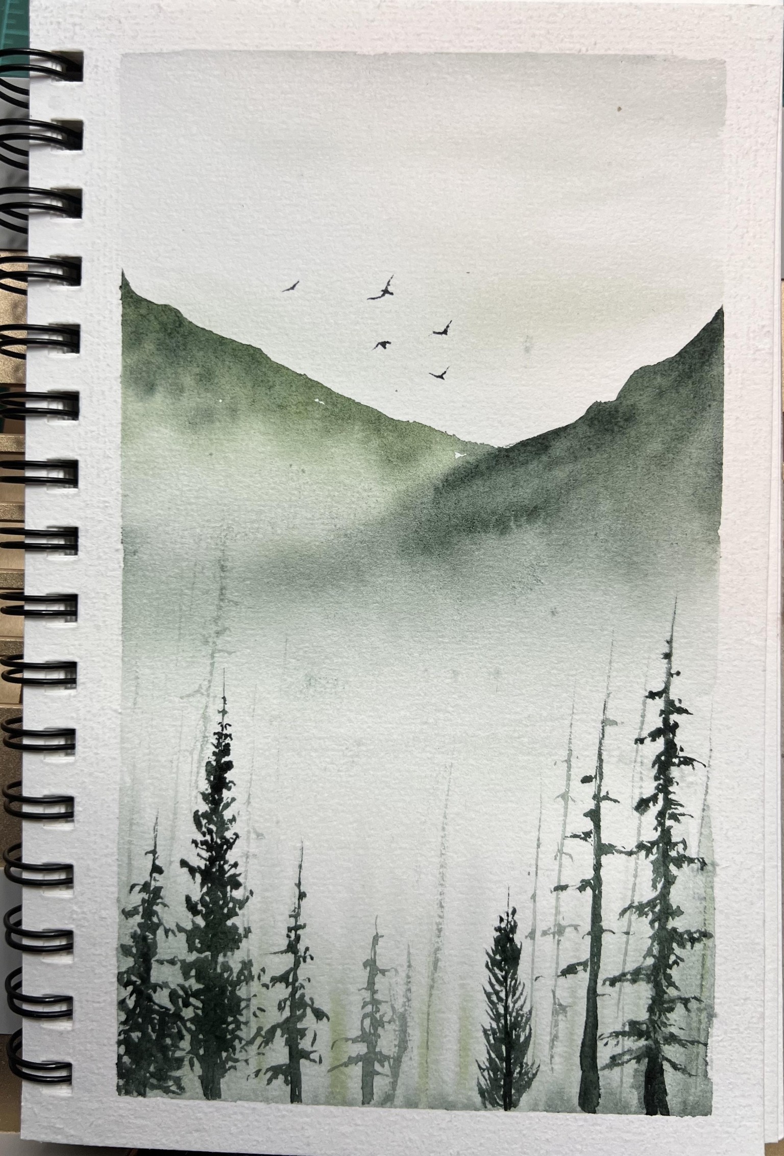 Monochrome Misty landscapes - image 8 - student project