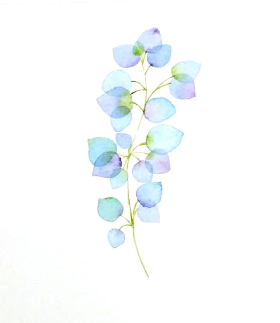 Tulips, cherries and leaves - image 3 - student project
