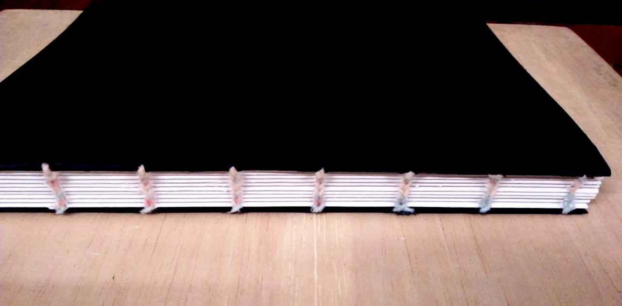 Coptic Binding: My first book :) - image 3 - student project