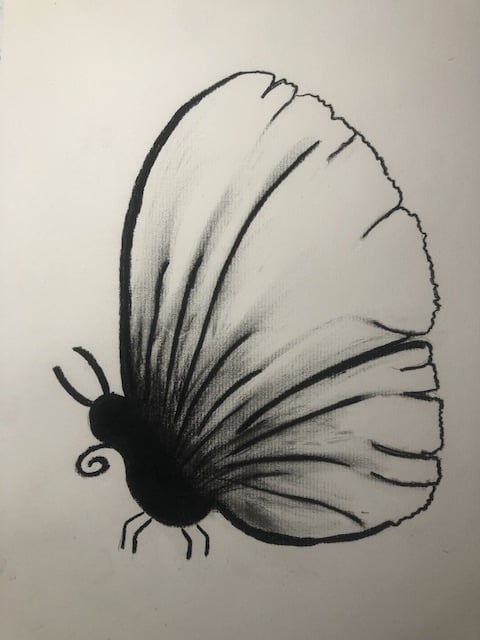 Butterflies in Charcoal - image 3 - student project