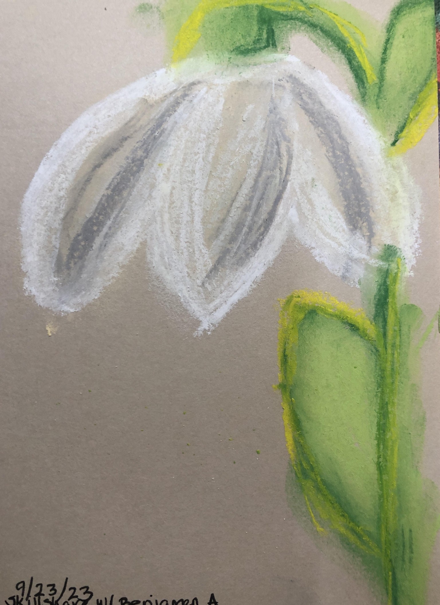 Snow drops - image 1 - student project