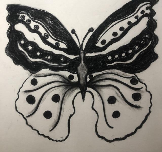 Butterflies in Charcoal - image 1 - student project