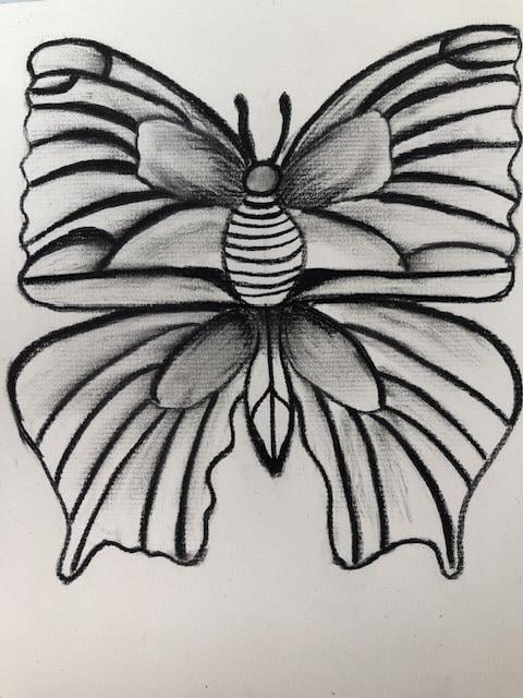 Butterflies in Charcoal - image 2 - student project