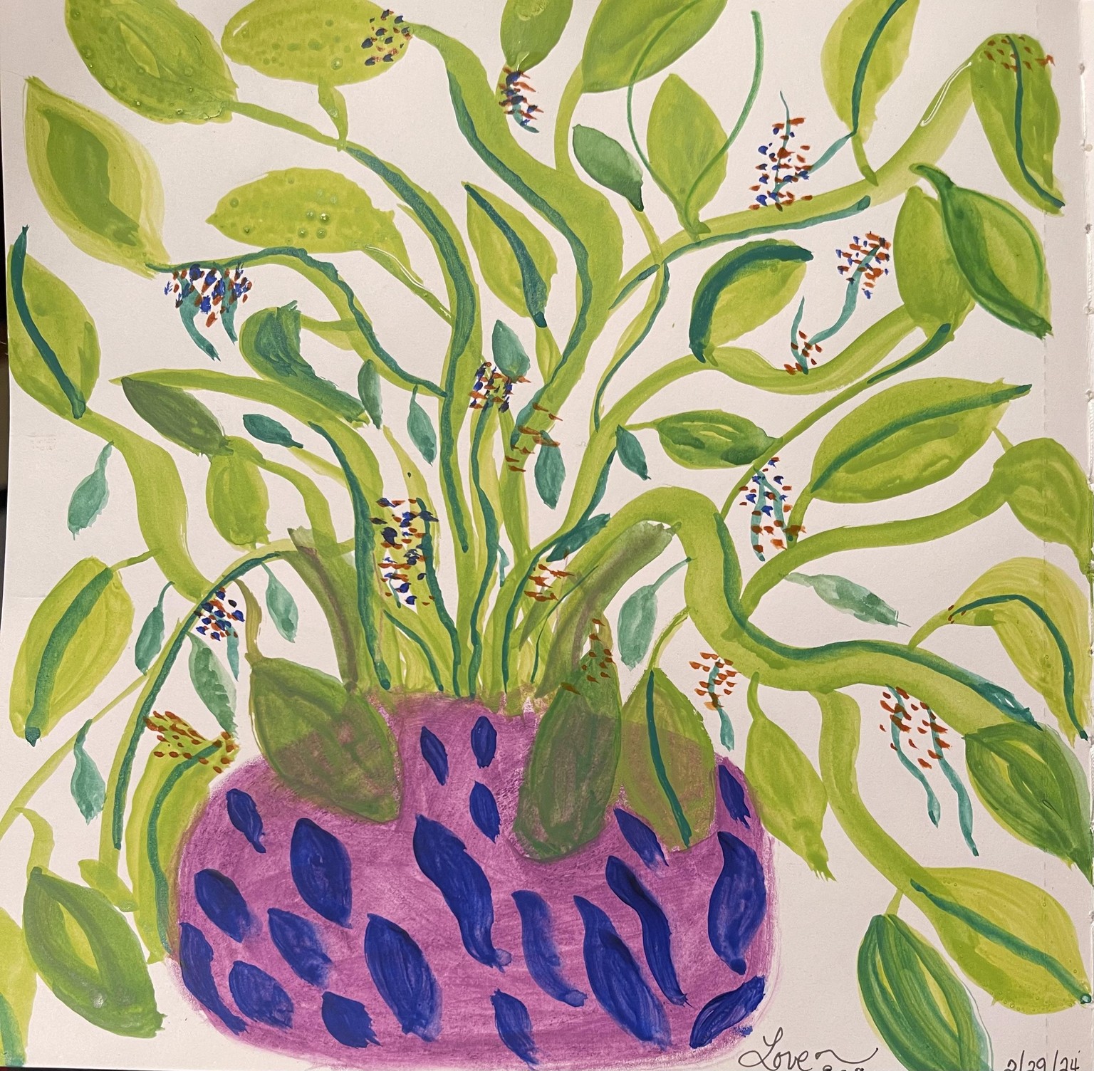 House plants - image 2 - student project