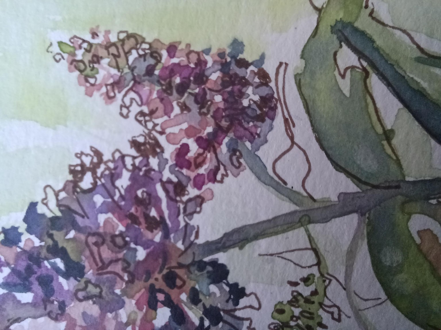 Organic expressive watercolors - image 2 - student project