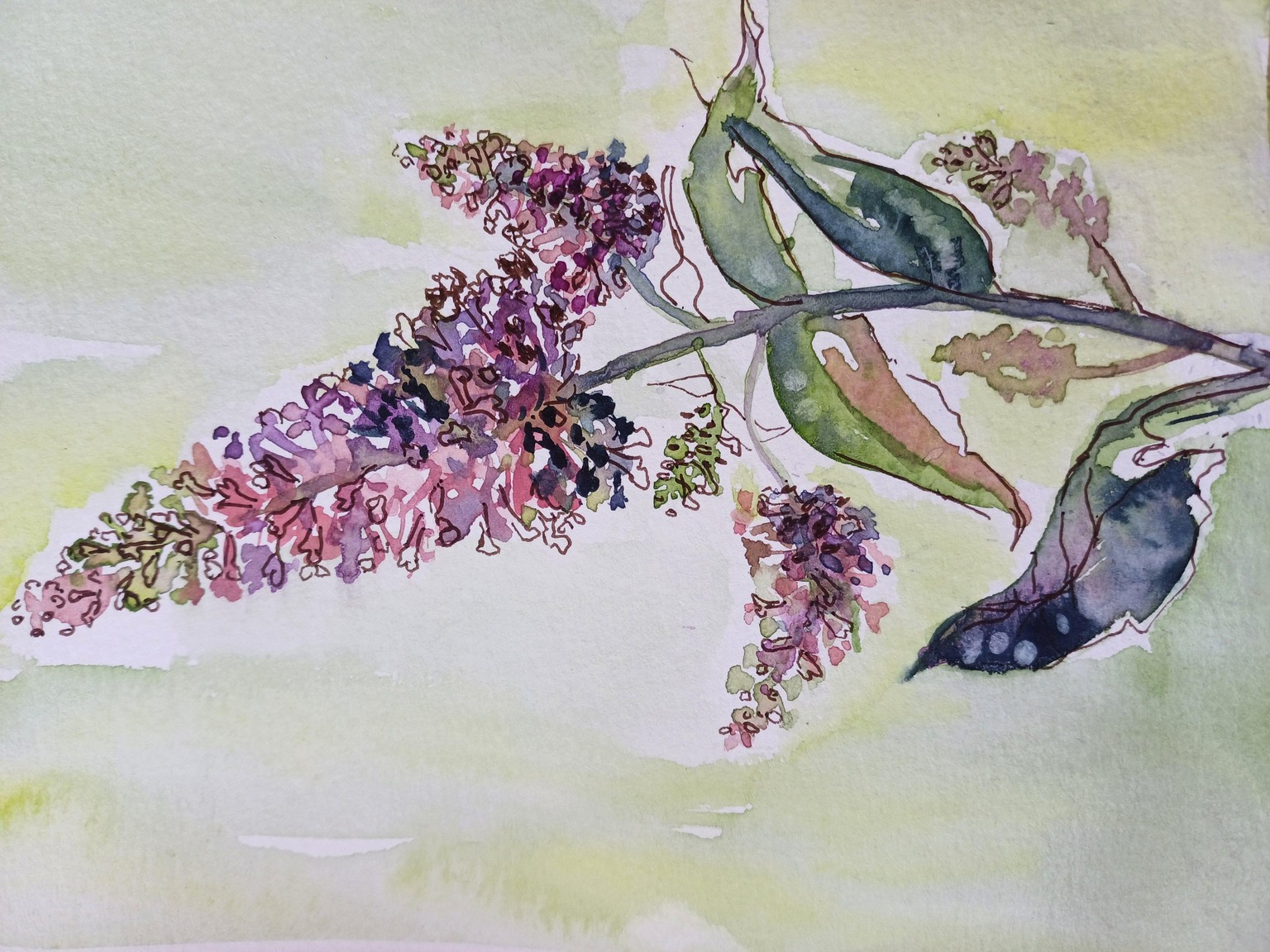 Organic expressive watercolors - image 6 - student project